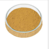 Manganese Niobate (MnNb2O6)-Powder