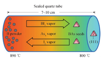 Schematic of BAs crystal growth -Funcmater