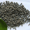 //iqrorwxhoilrmr5q.ldycdn.com/cloud/qkBpiKrpRmiSmrrpjllkj/Iron-metal-Fe-Sponge-60-60.jpg